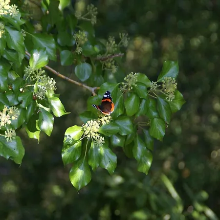 Normandy Family Escape Prázdninový dům *