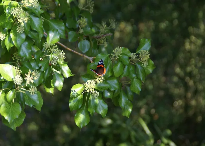 Normandy Family Escape Holiday home *